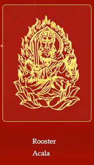 Acala buddha jewelry stone zodiac